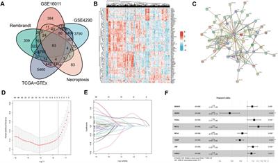 A novel necroptosis-related gene signature for predict prognosis of glioma based on single-cell and bulk RNA sequencing